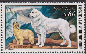 Монако 1977, Межд. выставка собак, 1 марка